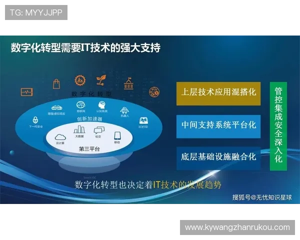 开云网络在数字化转型中的重要作用与应用实例分析