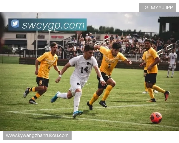 开云体育app官网登录：最新版本下载安装指南，轻松畅享体育赛事直播体验