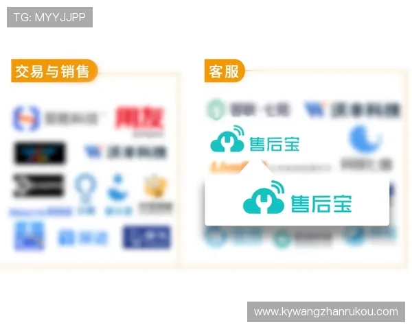 开云中国在线客服服务全攻略详解提升购物体验与售后保障的实用技巧 开云中国在线客服服务全攻略详解提升购物体验与售后保障的实用技巧